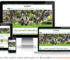 Sito web per oleificio a Borgo San Lorenzo